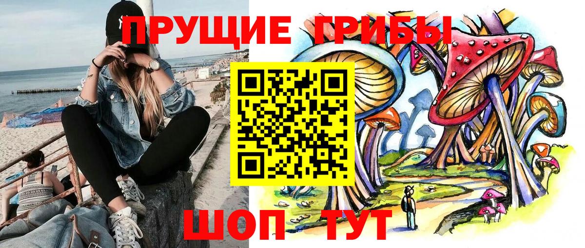 Псилоцибиновые грибы прущие грибы Нижний Тагил
