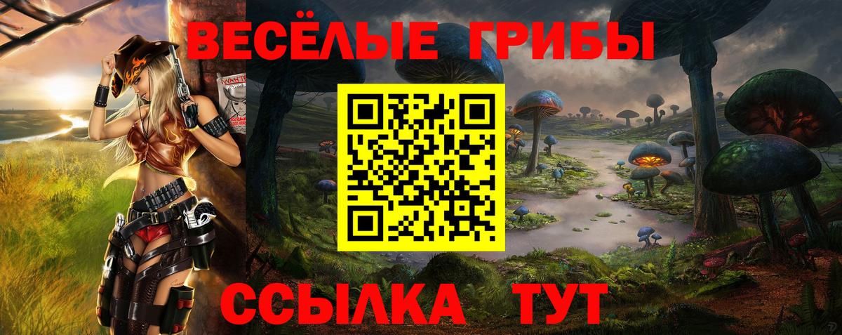 Нижний Тагил  Галлюциногенные грибы MAGIC MUSHROOMS  Галлюциногенные грибы MAGIC MUSHROOMS  Вход с VPN 